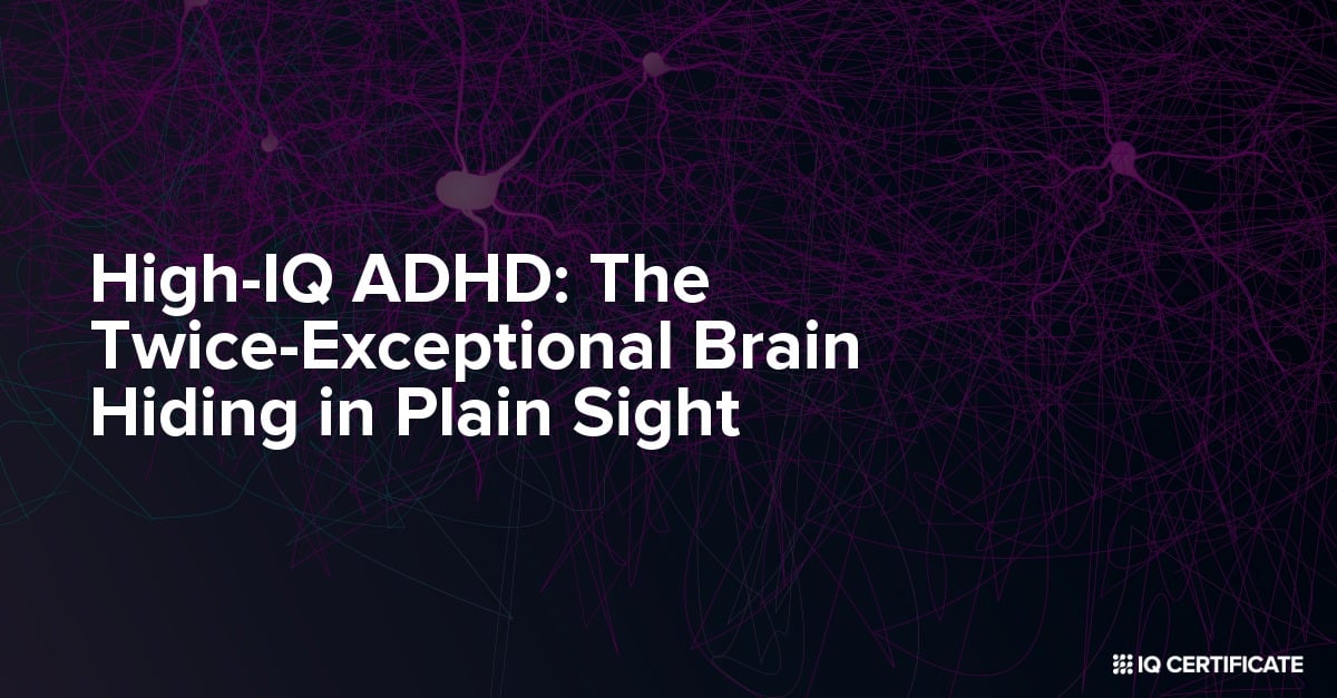 High-IQ ADHD: The Twice-Exceptional Brain Hiding in Plain Sight